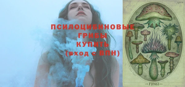 дурь Жердевка