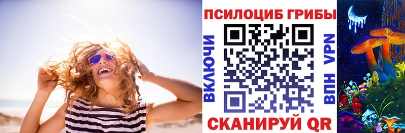 как найти закладки  Спас-Клепики  mega ССЫЛКА  Галлюциногенные грибы Psilocybine cubensis 
